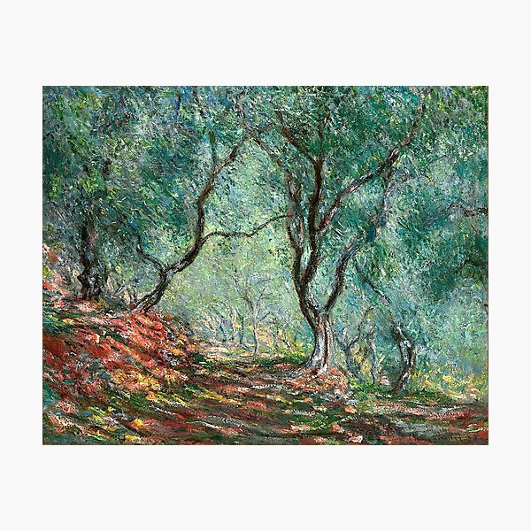 Item preview, Claude Monet - Olive Tree Wood in Moreno Garden designed and sold by ArtExpression.