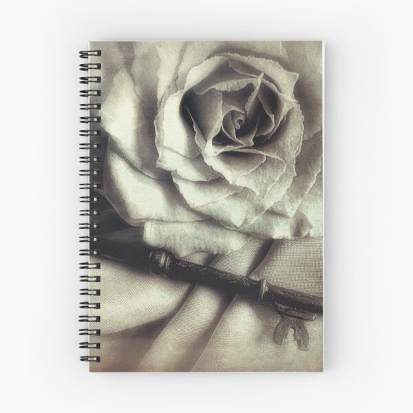 Item preview, Faded Rose and Old Key Vintage Style Modern Country Cottage Art A130 designed and sold by byNicol.