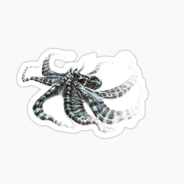 Animales Marinos Gifts & Merchandise for Sale | Redbubble
