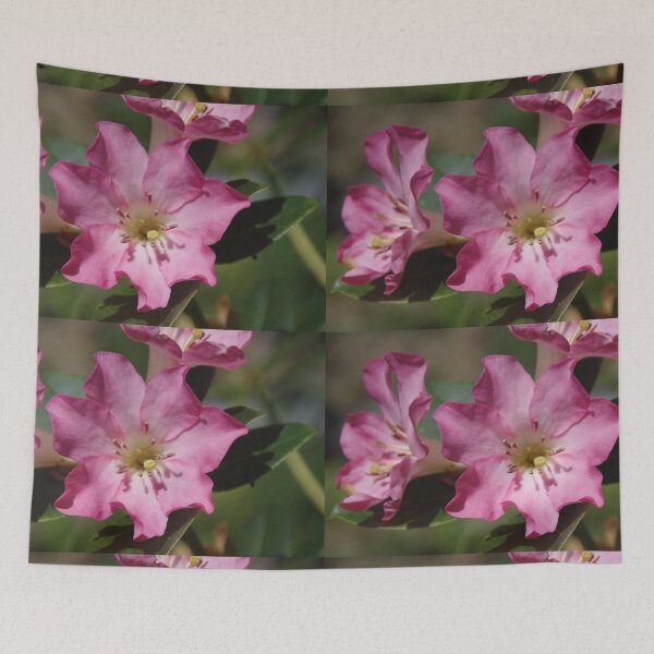 Item preview, Vireya Rhododendron - A Flower From New Zealand designed and sold by lezvee.