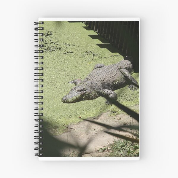 Item preview, What We Do In The Shallows designed and sold by Nathan Barlow.