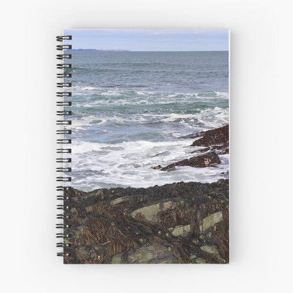 Item preview, East Point, Biddeford Pool designed and sold by TomNelson.