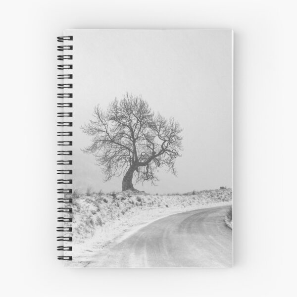 Item preview, Frandy Tree, Glendevon designed and sold by ShinyPhoto.