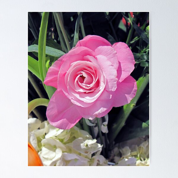 Item preview, A Birthday Rose designed and sold by MichelleR.