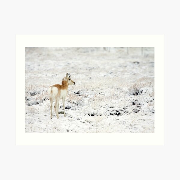 My High Key World Art Print