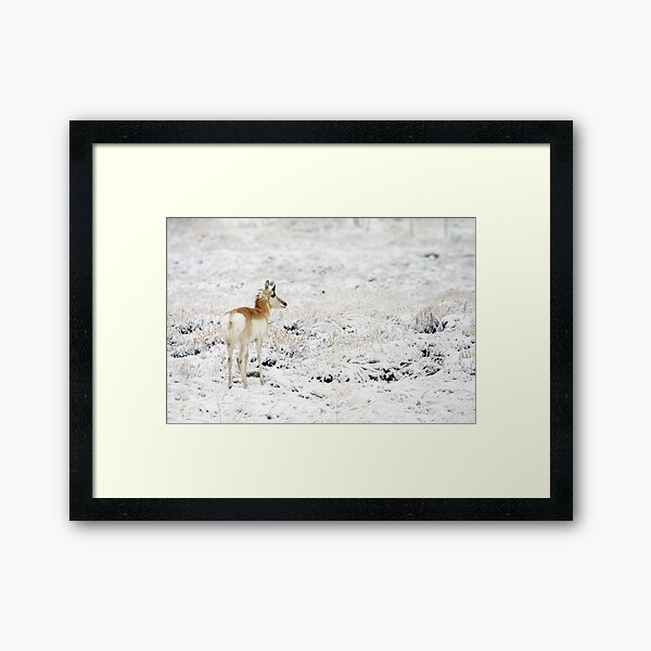 My High Key World Framed Art Print