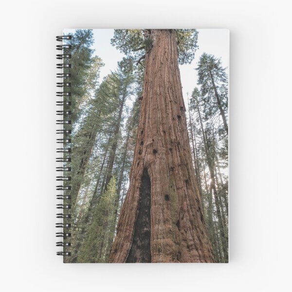Item preview, General Sherman Sequoia designed and sold by Belinda Greb Photography.