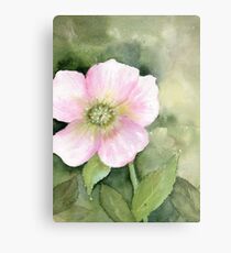 Touch of Spring Metal Print