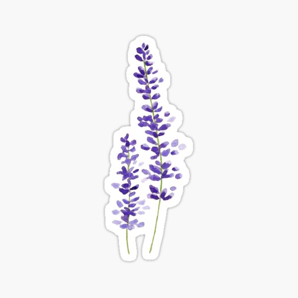 springs of lavender Sticker