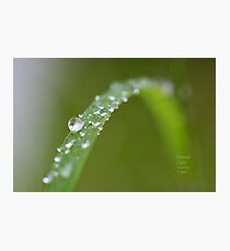 " Rain Bow " Photographic Print