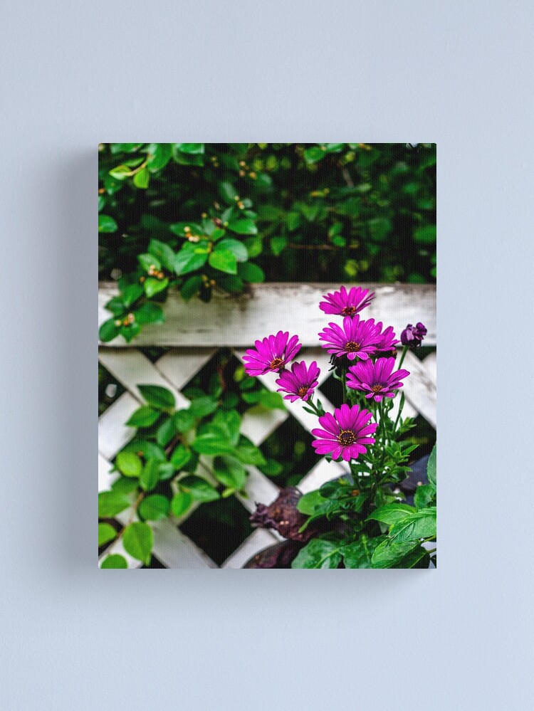 Thumbnail 1 of 3, Canvas Print, Flowers Make People Better designed and sold by darren-j-mcleod.