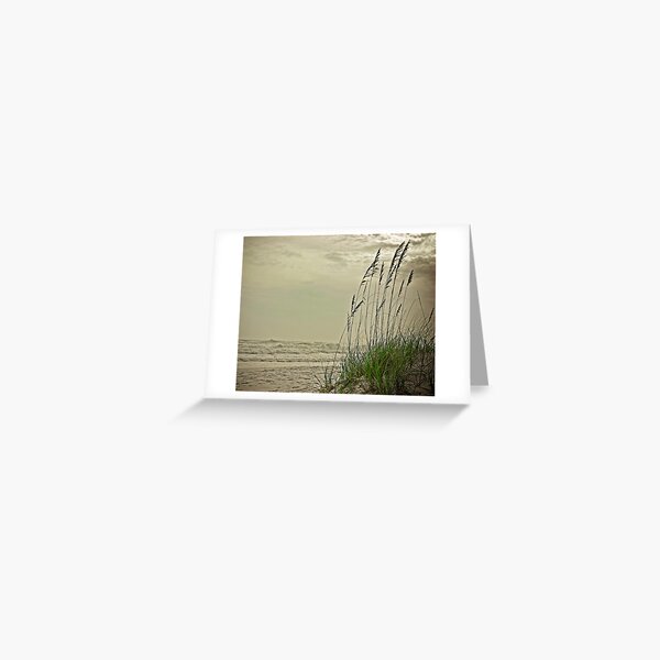 Item preview, Evening Reeds designed and sold by RayDevlin.