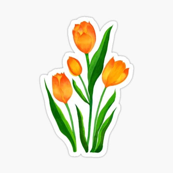 Watercolor Orange Red Tulips  Sticker