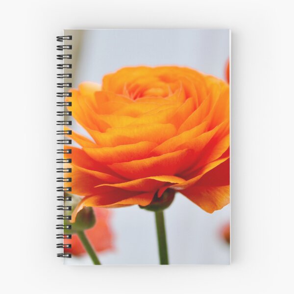 Item preview, Orange Bloom designed and sold by SimplyEsthetic.