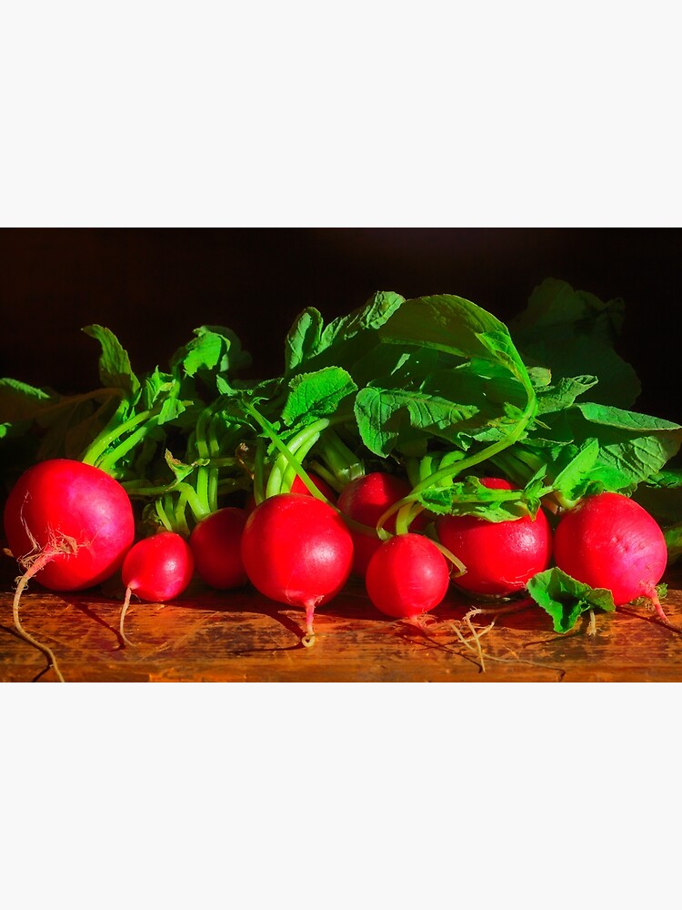 Radishes Still life by fardad