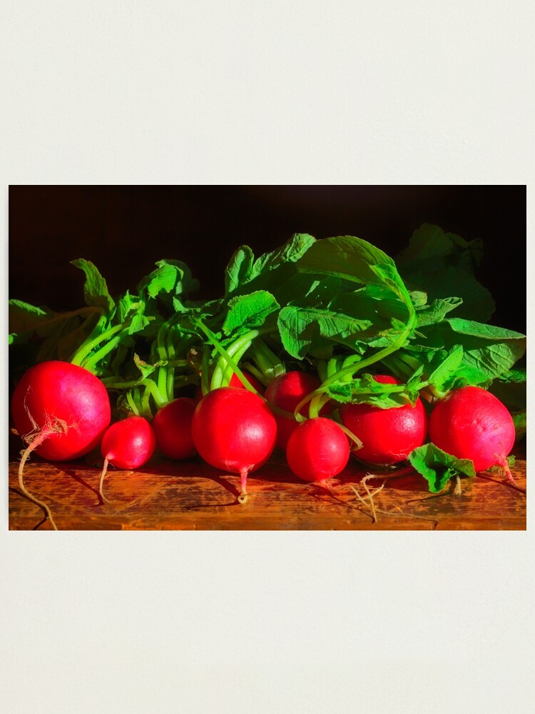 Alternate view of Radishes Still life Photographic Print