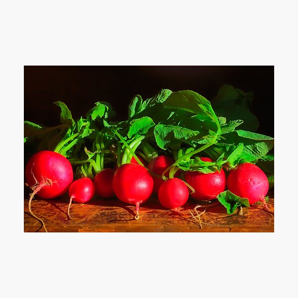 Radishes Still life Photographic Print