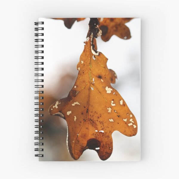 Item preview, FALL designed and sold by RickVink.