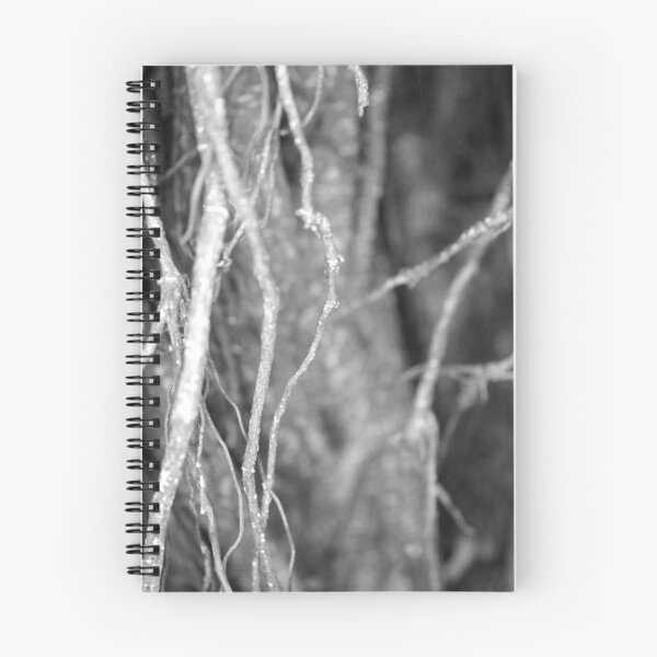 Item preview, Black and White Nature Triptych I designed and sold by Kathie Nichols.