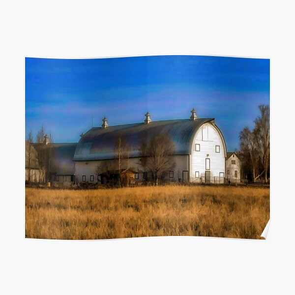 "Creamers Field Dairy Barn, Fairbanks, Alaska" Poster for Sale by Alaskandreamer Redbubble