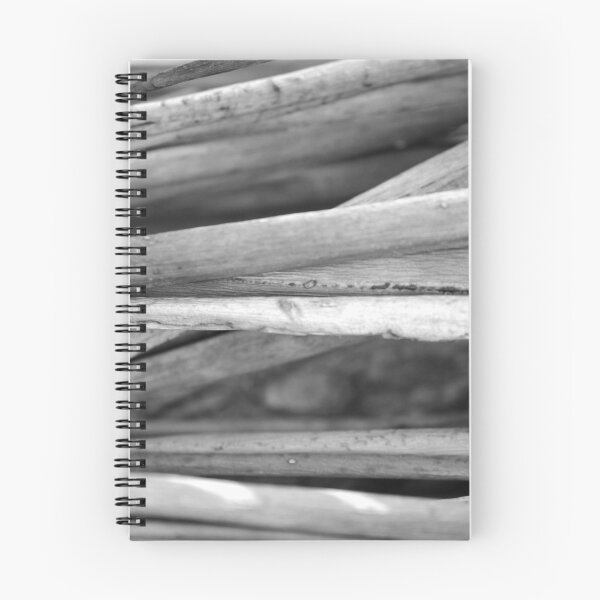 Item preview, Black and White Nature Triptych III designed and sold by Kathie Nichols.