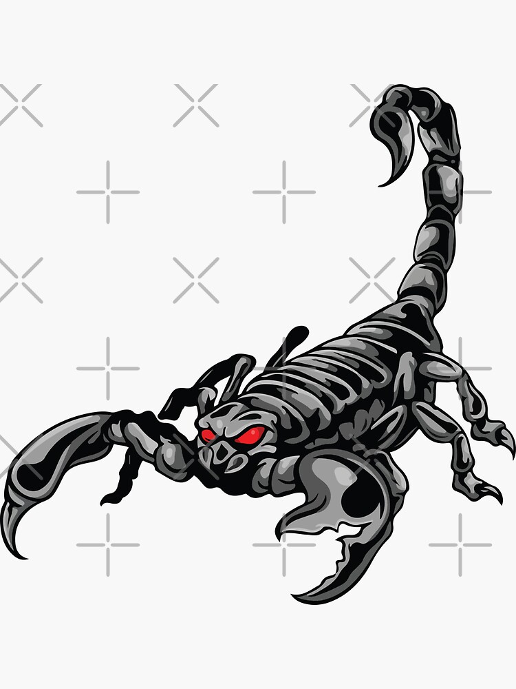Кошка Скорпион. Татушки Скорпион контор на лопатку. Картинки пустынного скорпиона. Мужчина скорпион крыса совместимость