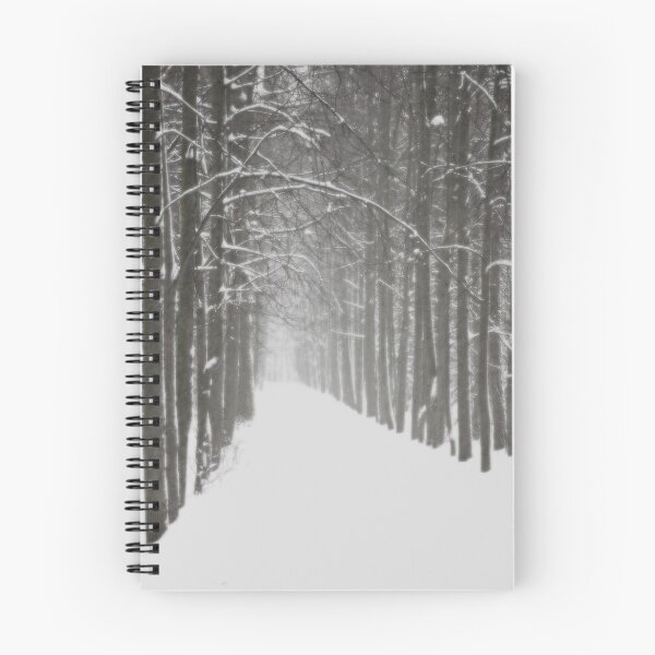 Item preview, Verse of the Winter designed and sold by denis-romanov.