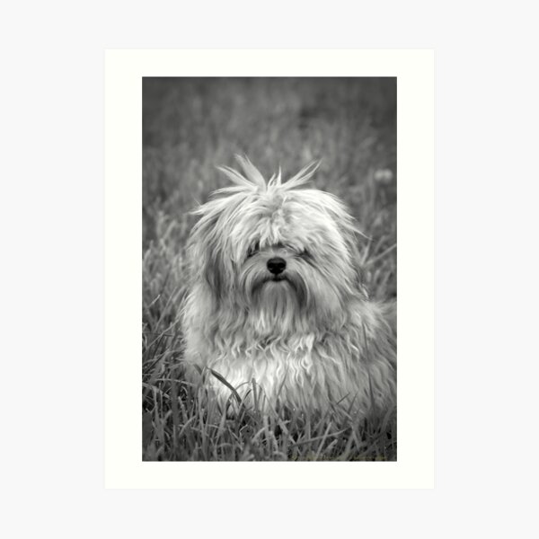 Who Me? Art Print