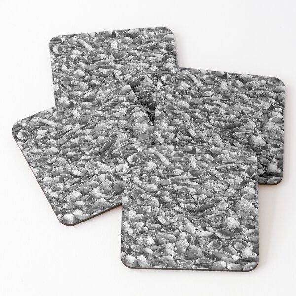 Item preview, Shells (B&W) designed and sold by Phil Le Cren.