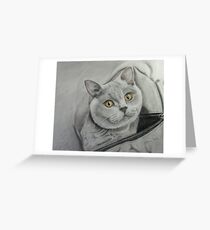 Amber in a bag Greeting Card