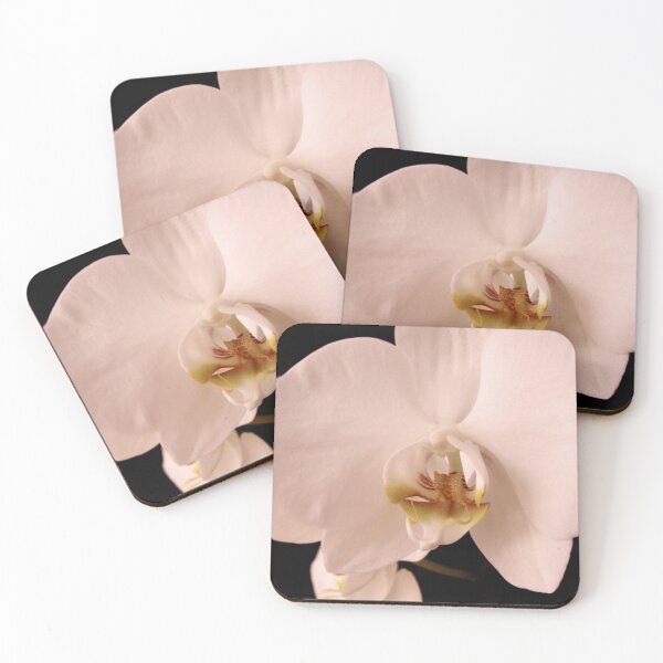 Item preview, Pink orchid designed and sold by aapshop.