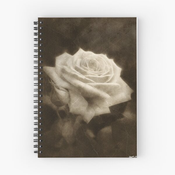 Item preview, Pink Roses in Anzures 3 Antiqued designed and sold by TravelPhotoArt.