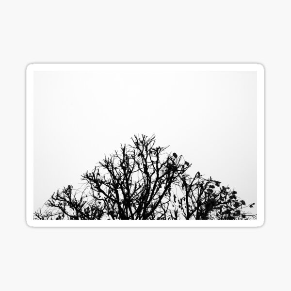 Arboressence#6 Sticker