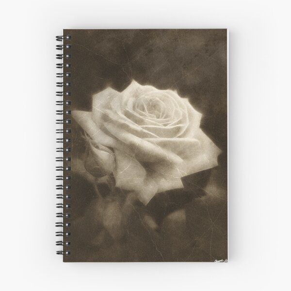 Item preview, Pink Roses in Anzures 3 Antiqued designed and sold by TravelPhotoArt.
