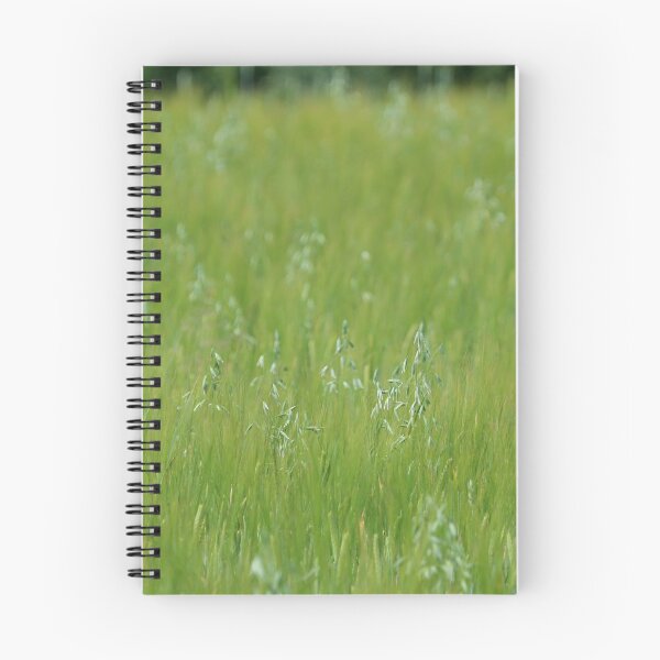 Item preview, Cereal field as nature background. designed and sold by fotorobs.