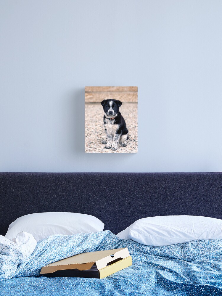 Thumbnail 2 of 3, Canvas Print, Theo Sit Stay designed and sold by darren-j-mcleod.