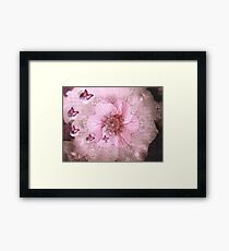 Life Of Chasing Butterflies Framed Print