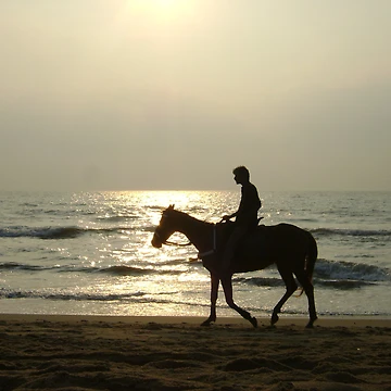 Imagen de la obra Lone Rider de " RiSH "