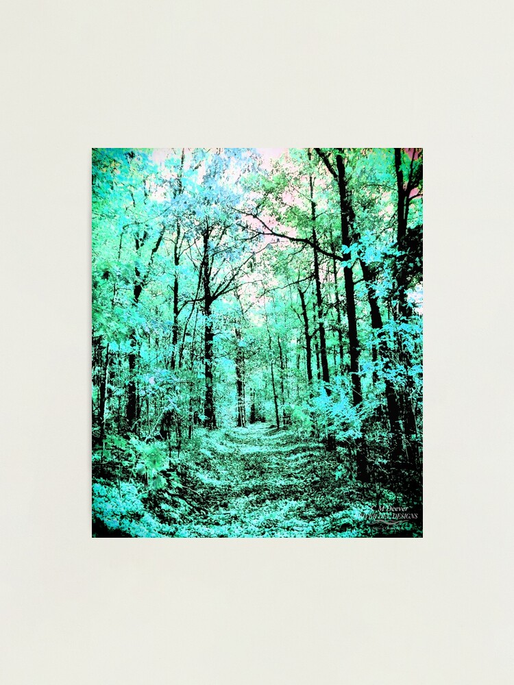 Alternate view of Spring Warms The Blue Photographic Print