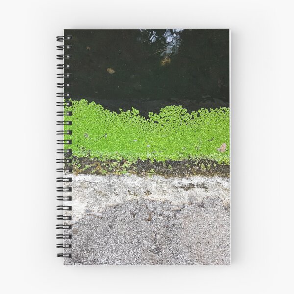 Item preview, Levada on Madeira 3 designed and sold by raumbildwelt.