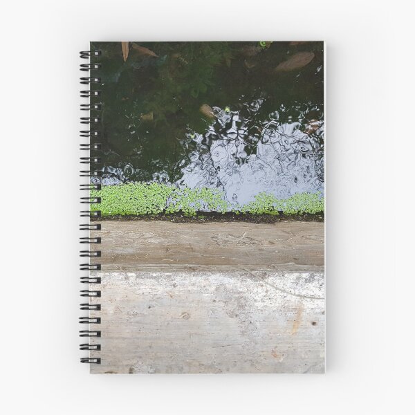 Item preview, Levada on Madeira 2 designed and sold by raumbildwelt.
