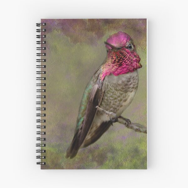 Item preview, Anna's Hummingbird designed and sold by Barbara Manis.