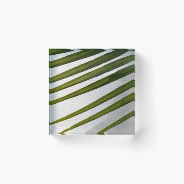Item preview, Earning Stripes designed and sold by webster7.