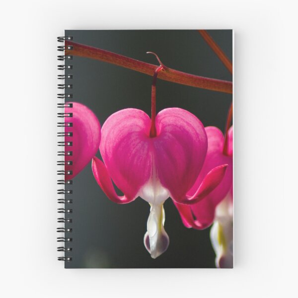 Item preview, Bleeding Hearts designed and sold by Studio 4 Photo.