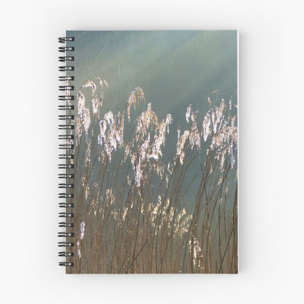Item preview, Sunlit Grasses 1 designed and sold by Talisien.