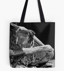 Driftwood on the beach Tote Bag