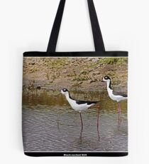 Black necked stilts in water Tote Bag
