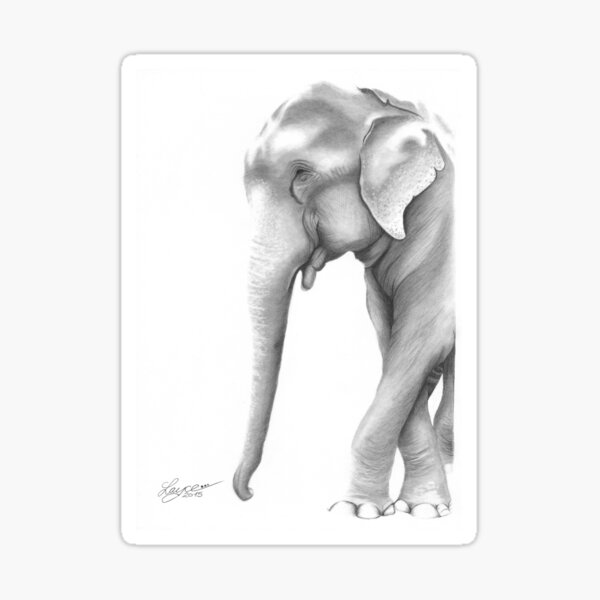 'Raju', The Crying Elephant. Sticker