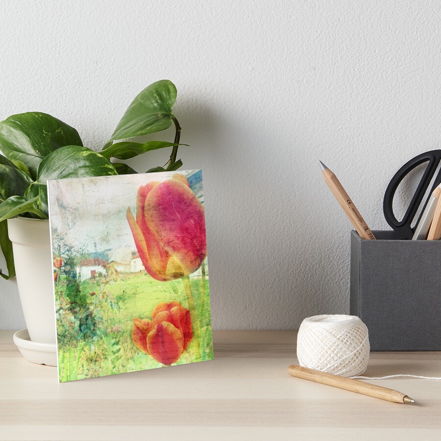 tulips in the village Art Board Print