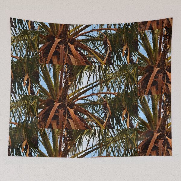 Aperçu de l'œuvre Palm tree créée et vendue par C.T. Photography.